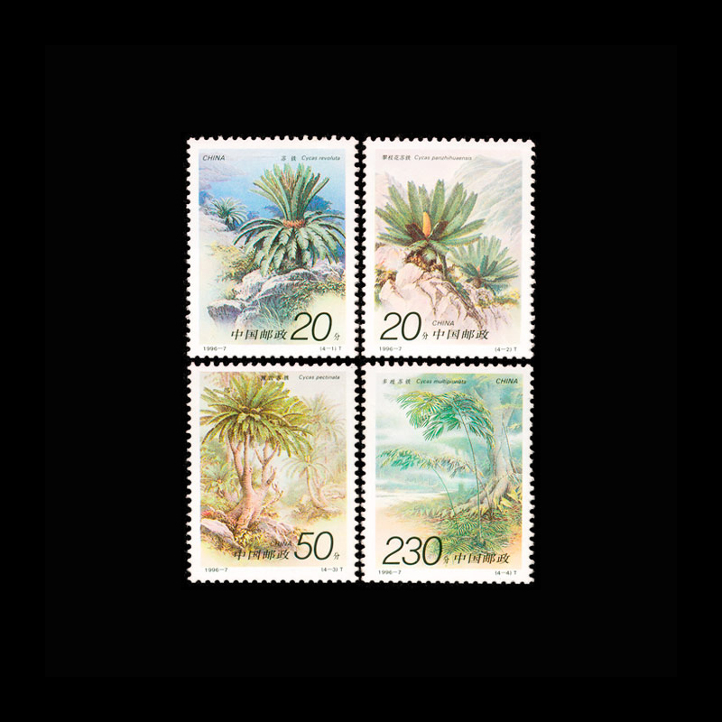 Vintage Collectible Stamps - Set 4PCS Perangko Tanaman Cycas Cina
